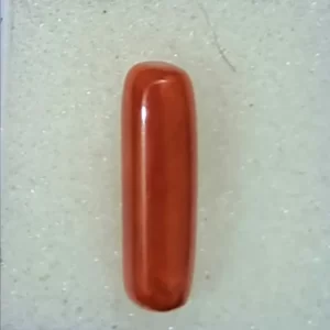 Indian Coral Stone- मूंगा रत्न